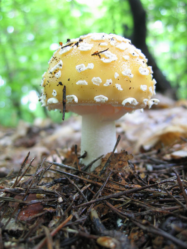 Ritrovamenti del 6 Maggio